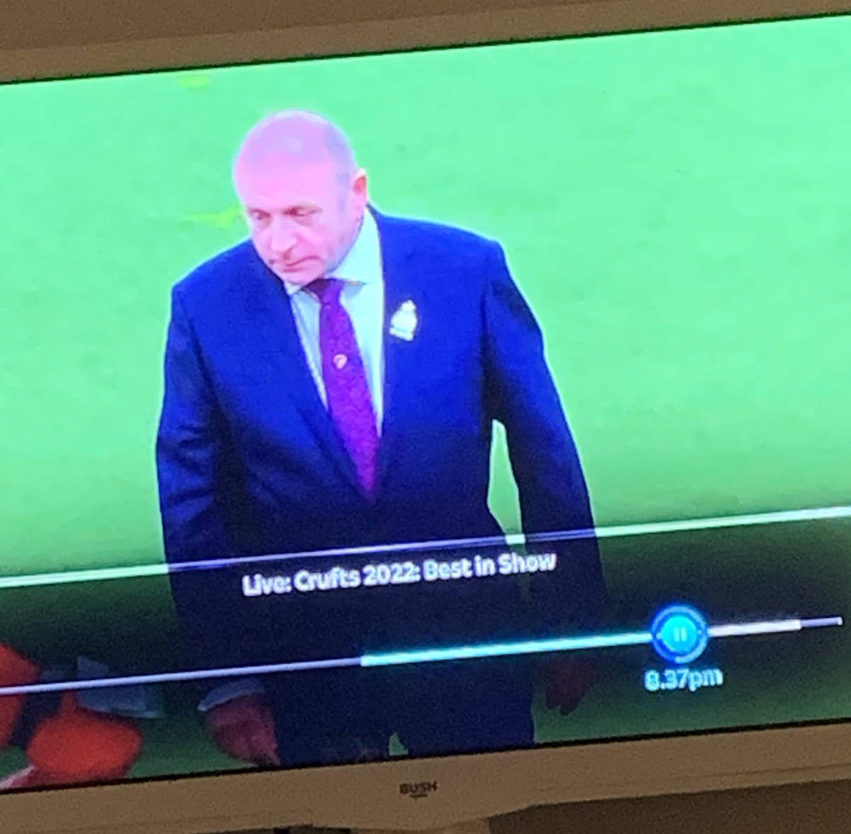 Hannah7284's tweet photo. Erm… Wtf is Putin doing on @Channel4  @Crufts ??! 😳 #BestinShow #Crufts https://t.co/xiuh2lKTZa