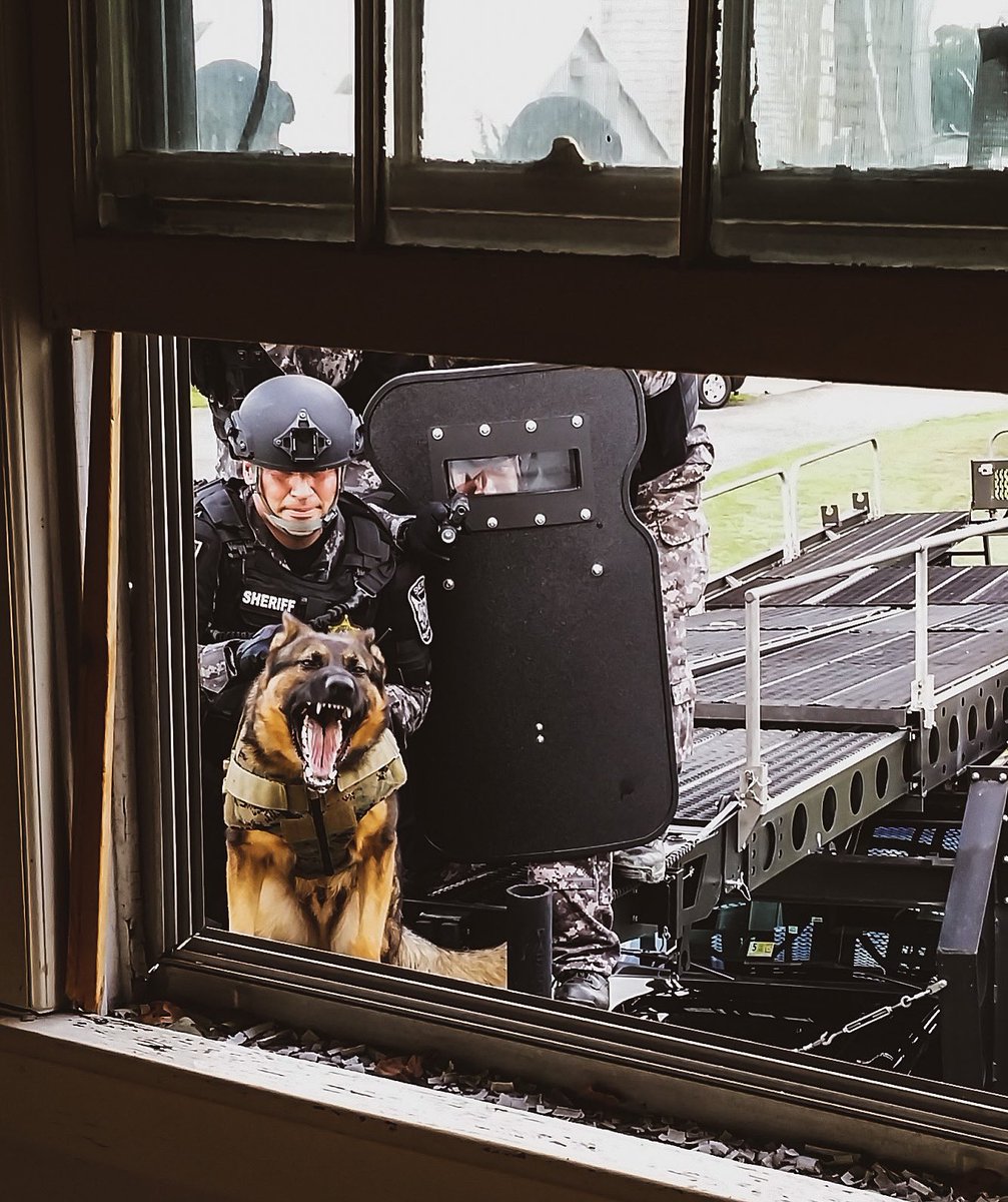 Patriot3Inc's tweet photo. PATRIOT3 Elevated Tactics Systems…helping deliver “the bite” to bad guys where they least expect it!
•
#NationalK9VeteransDay

#Patriot3 #ElevatedTactics #K9 #DynamicEntry #Tactical #SWAT https://t.co/A1IDc2gn8r