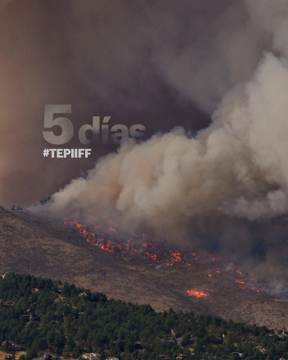 emerprogram's tweet photo. No te vamos a decir que busques un caso para que aprendas, te lo vamos a enseñar y explicar.
#TEPIIFF #tepwildfireknowledge https://t.co/4UewutJdZW