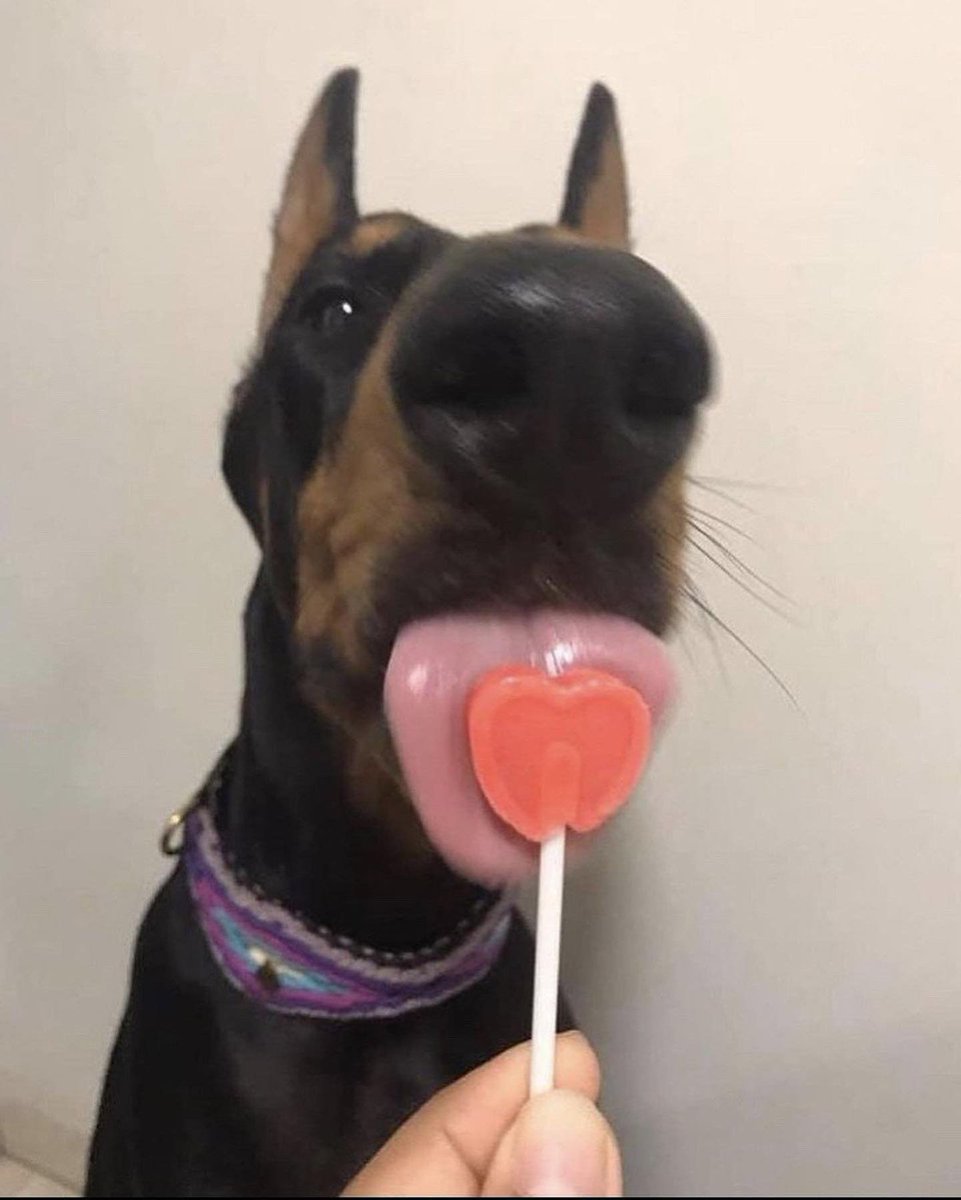 ARTIFAXING (@pedestrian) on Twitter photo 