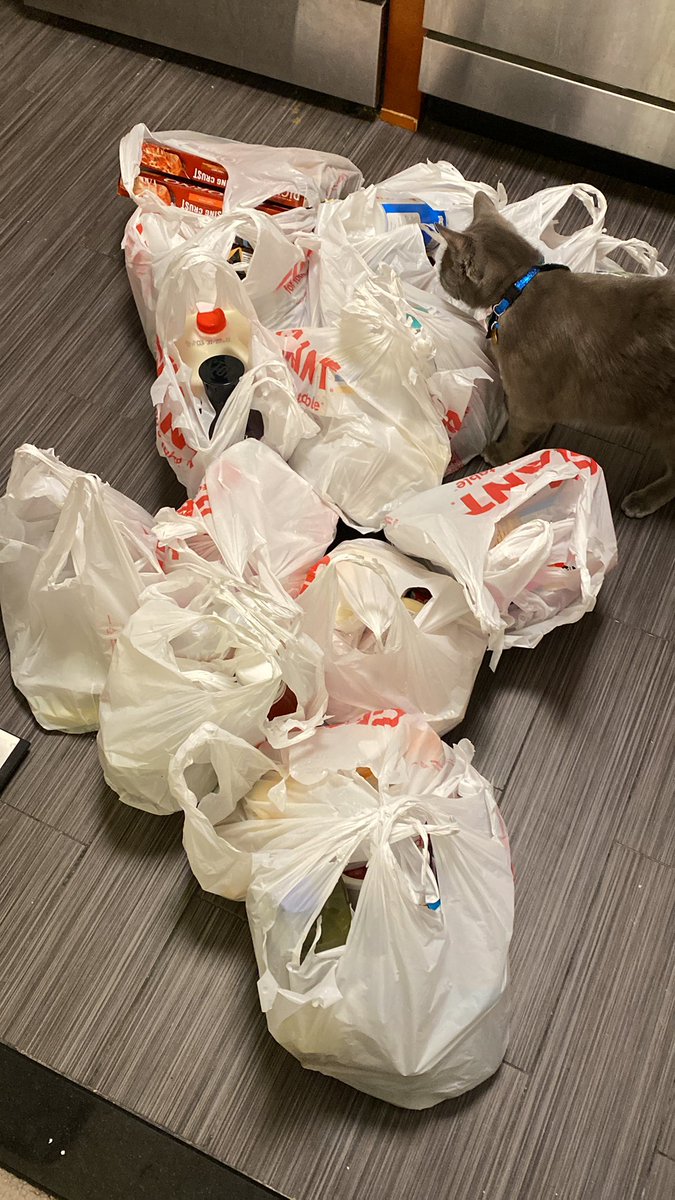 mandala_ttv's tweet photo. If you don’t bring all your groceries up in one trip you’re doing it wrong. #outtashape #imwinded #catlovesbag https://t.co/wWiblRTklF