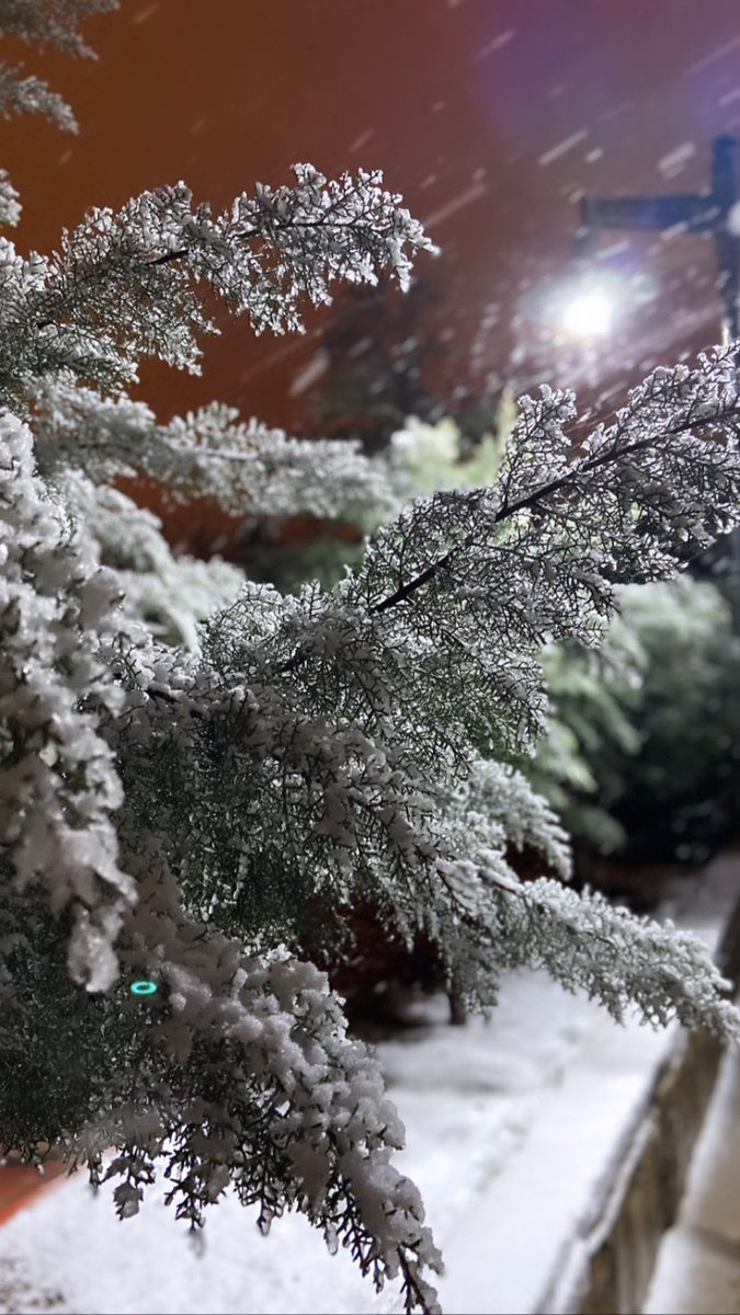 ozgeelifuslu's tweet photo. Doğanın incileri çok ama en zarifidir kar taneleri…🤍
En sevdiğim mevsim…❄️
Ve bir düş kadar güzel…🦋
.
.
.
#iyigeceler 
#geceyebirsöz
#kar 
#geceye https://t.co/AxMCppr91M