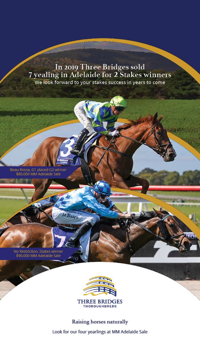 TTRAusNZ's tweet photo. In 2019 Three Bridges sold 7 yearlings in Adelaide for 2 Stakes winners!

We look forward to your stakes success in years to come. 

Raising horses naturally 

Look for our four yearlings at @mmsnippets Adelaide Sale
@ThreeBridges1 
https://t.co/ehnTj6n9o5 https://t.co/WitnQbZWyN