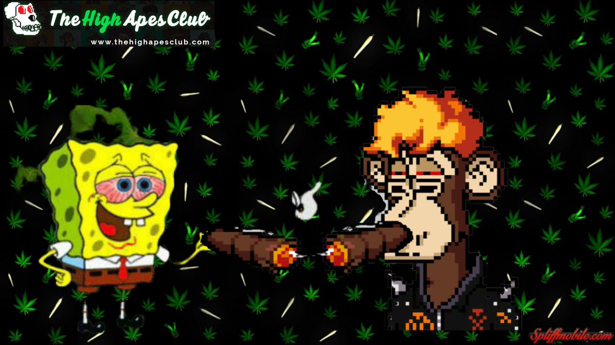 Skellem_187's tweet photo. Join the club!

@thehighapesclub

#THCARMY #THCTOTHEMOON https://t.co/DUXxW8pOye