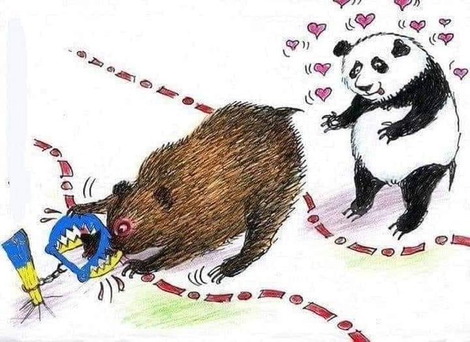 <a href="/NocnaZ/">Mesuret</a> znalezione w sieci