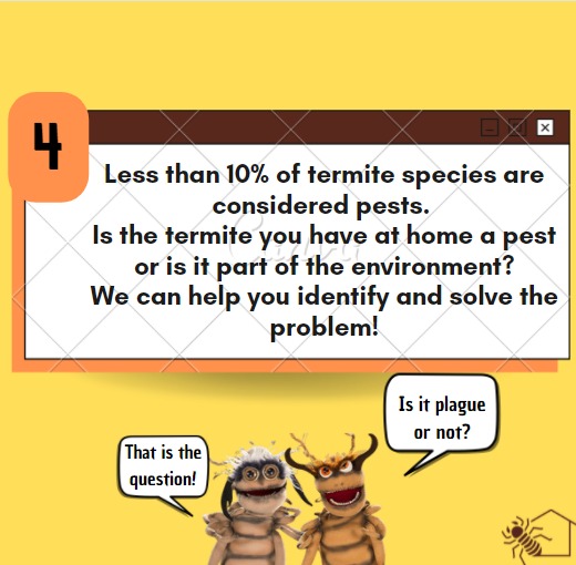 TemCupimlaemCS's tweet photo. Hey guys! Today we came to bring you 5 curiosities about our page! :)
Did you know about all these? Comment here for us!
📷 the photos used are from @prof.helida.cunha
@maristela.c.alcantara @davidrodriguesf
#Termite #termites #termite #Isoptera #entomologist #entomology #insect https://t.co/mUjEdUTxtO