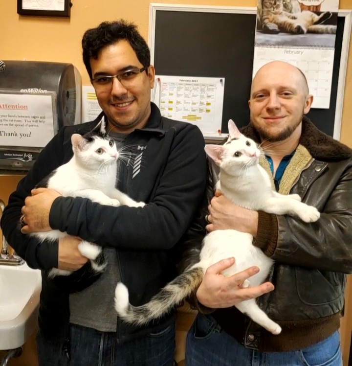 AACatsRescue's tweet photo. It’s a double adoption for Dora and Evie!
#catdads #doubleadoption #realmenlovecats https://t.co/pc6PrTdTkJ