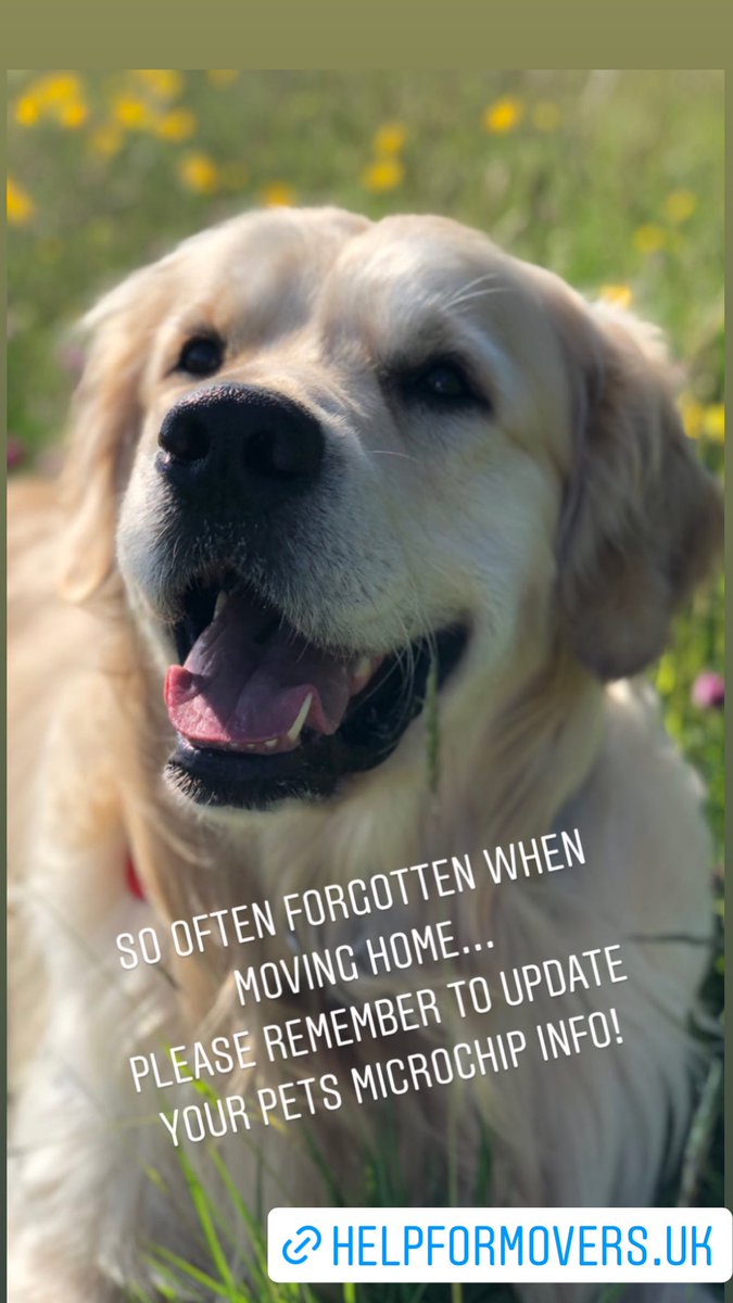 HelpForMovers's tweet photo. Loved watching @Crufts earlier… Such beautiful dogs!
A #movinghouse reminder… Please remember to update your pets microchip info… so often overlooked. #helpformovers #Queensof Moving! #dogs #pets https://t.co/hAFDfb52pd