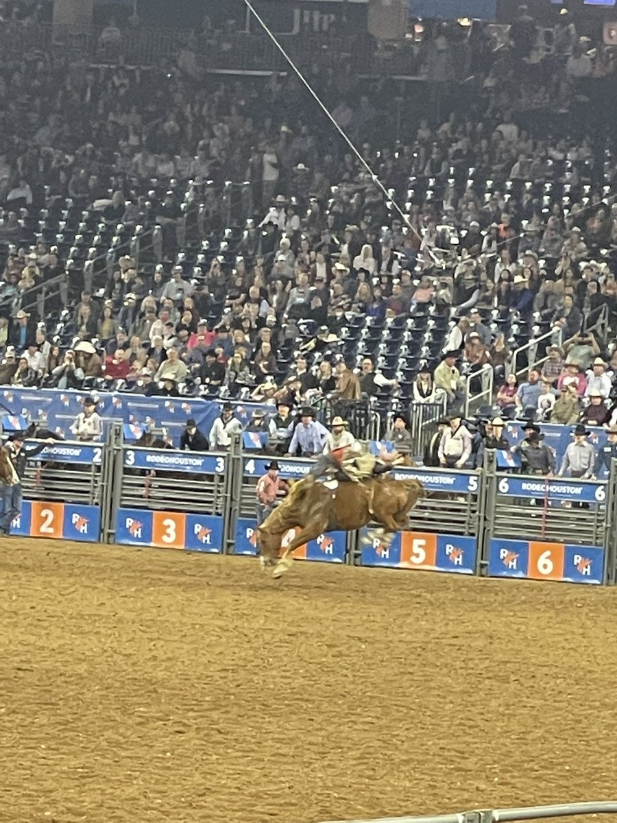 jenlsimmons19's tweet photo. #rodeohouston https://t.co/tqt7zUNO5y