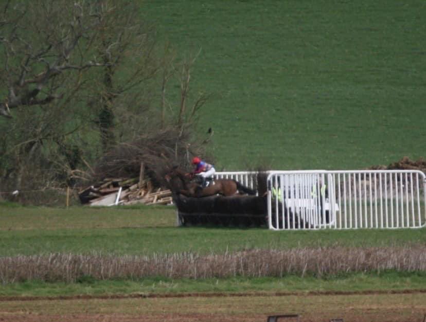 Thomas Doggrell tweet media