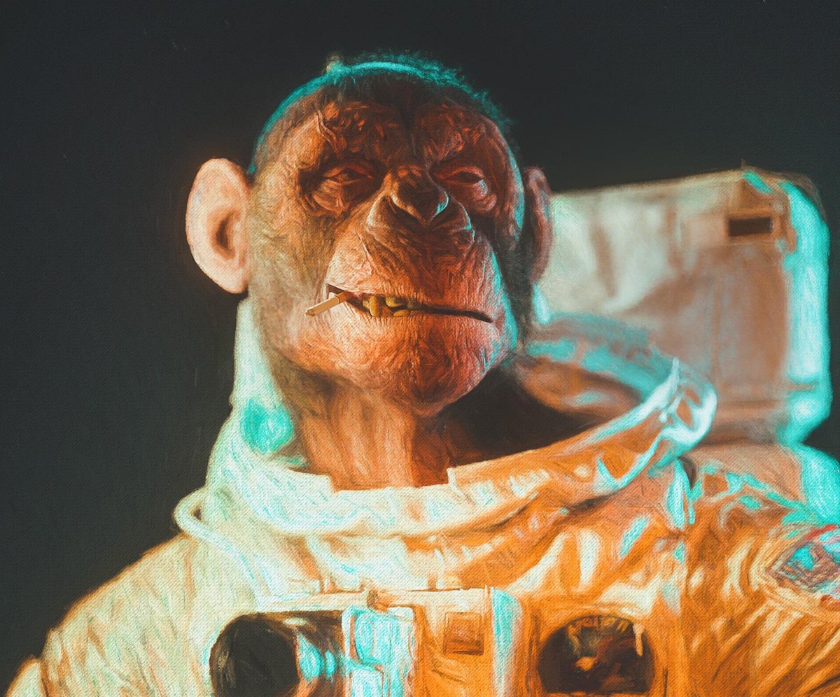 🏅🏅🏅🏅🏅
We started our amazing 6 weeks challenge to win the "Lastronauts Commander" role (equals 2 WL spots)!

100+ Commander roles to win!

Head over to our Discord and enjoy the quizzes, riddles and tasks:
discord.gg/XpZMJvp9BM