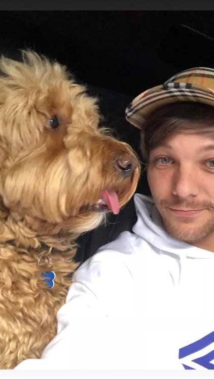 todays1dhistory's tweet photo. Today (March 14) in 2018 - Louis has a mini photo shoot with Bruce ☺☺

via his Insta https://t.co/wb14DNLRI0