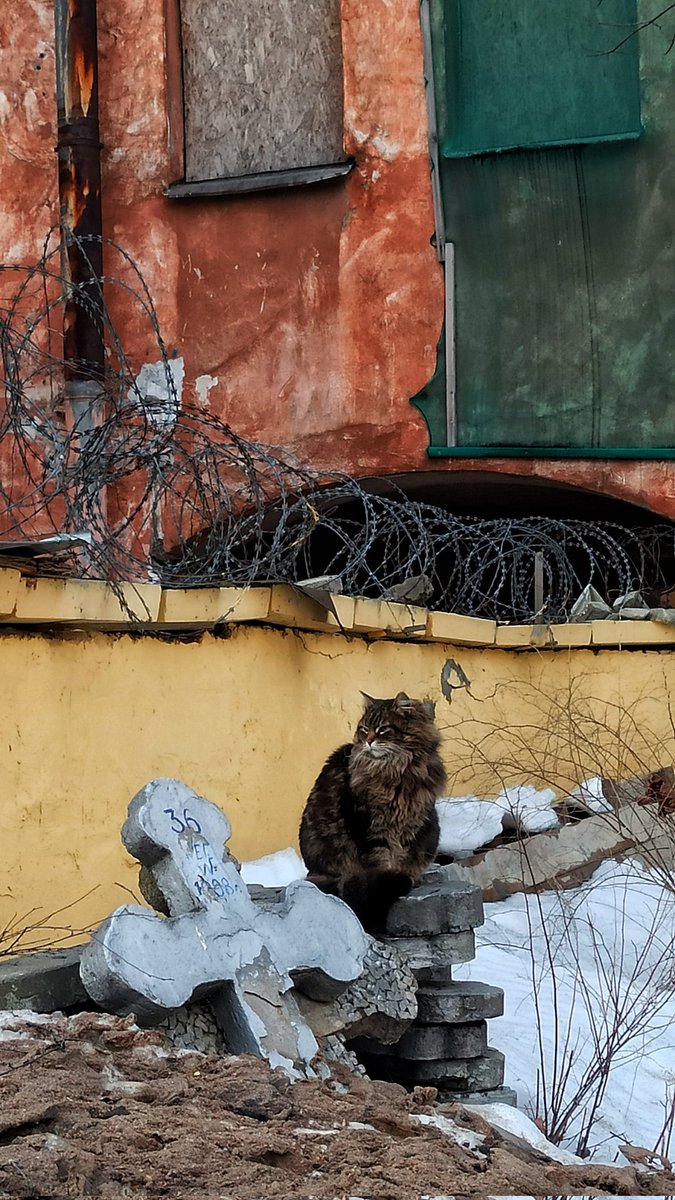 ot_padika's tweet photo. Случайно сфотографировала сегодня русскую весну.

 Санкт-Петербург, Малоохтинское. https://t.co/Az9ogIedLV