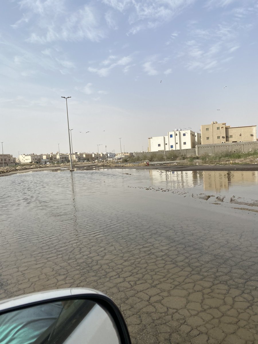 aaldaeij's tweet photo. @dahah294 لماذا كل هذا التجاهل من المسؤولين !! الى متى لقد أصبح الوضع لايطاق https://t.co/4DnHRf4tCP