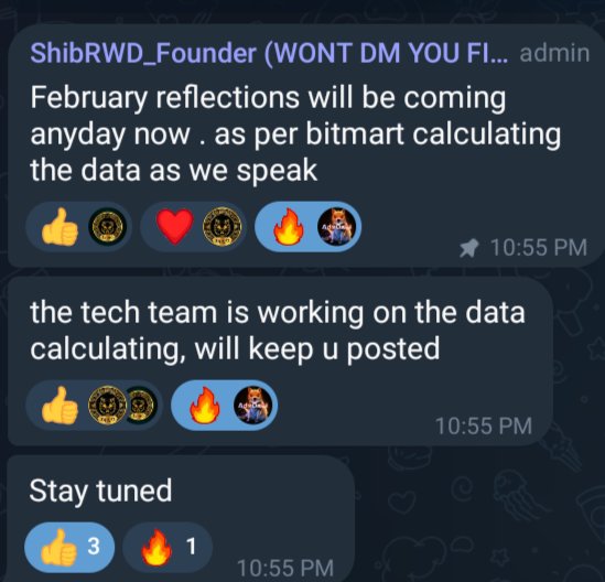 advance_stance's tweet photo. $SRWD UPDATE for people who is not in Telegram. 

Reflections for  FEB. comming soon🤝!
#SRWD #Shib #crypto #cryptonews https://t.co/NdSysLnqFV