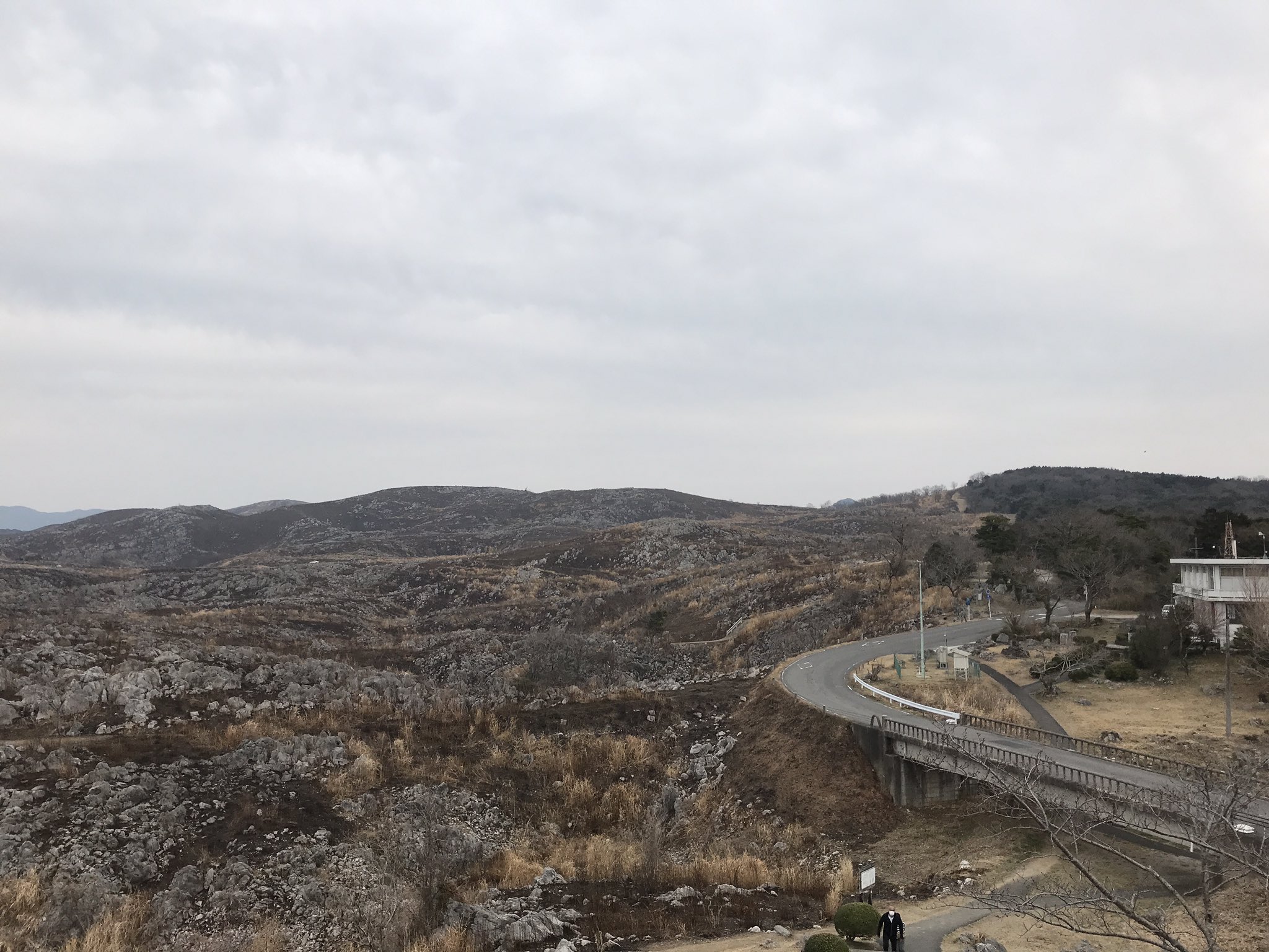 旅かだ 秋吉台 美祢線美祢駅からバス 壮大なカルスト地形 秋芳洞の洞内からエレベーターで地上に上がり 少し歩くと展望台がある 夏みかんのソフトクリームを堪能 散策を終えると秋芳洞の入口まで戻り 美東ごぼうを使った ごぼううどん を昼食に食べる