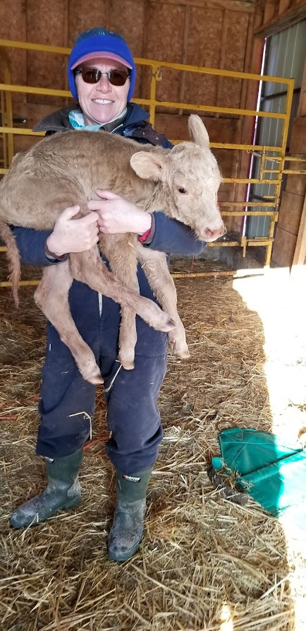 TerryRiter's tweet photo. @EEX2727 @AreWhyEhInRyan The person is 4'11". This little character is a 38 lbs twin. All calves are cute, but these little guys are extra sweet. https://t.co/uomympaLe1