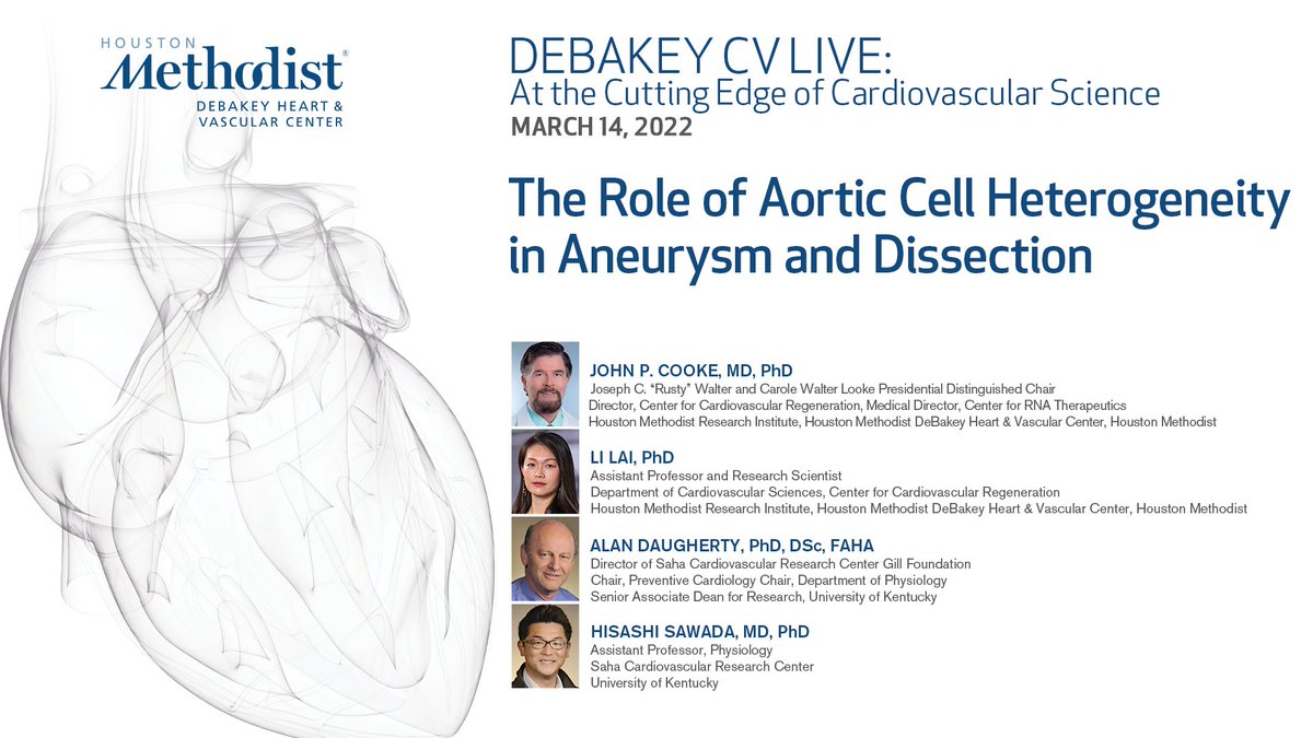 DeBakeyCVedu's tweet photo. Tomorrow at 5 pm CST, join us for DeBakey CV Live At the Cutting Edge of #CVScience @JohnPCooke1, @alan_daugherty, @hisashi_sawada, and Dr. Li Lai, as they discuss the role of #aortic cell #heterogeneity in #aneurysm and #dissection failure.
Watch live: https://t.co/BdVcshM4JX https://t.co/BNCbUdLdZU