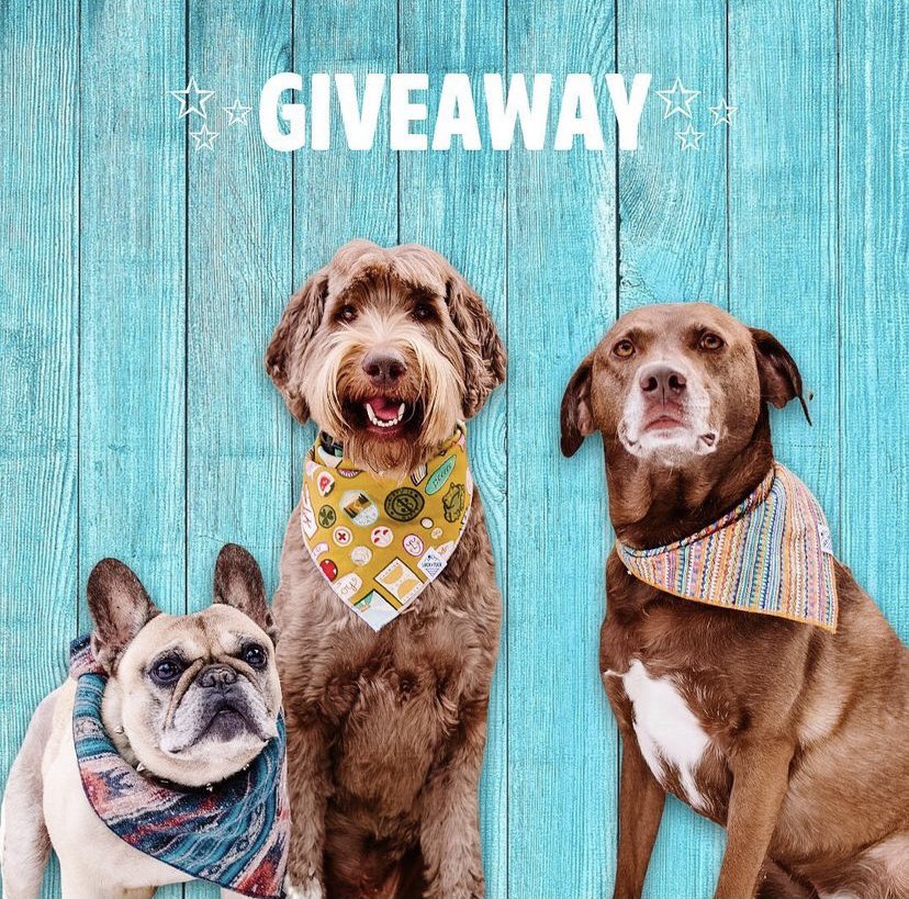 Hosting a #Giveaway on Instagram so go find this post to win a free bandana! #dogsoftwitter