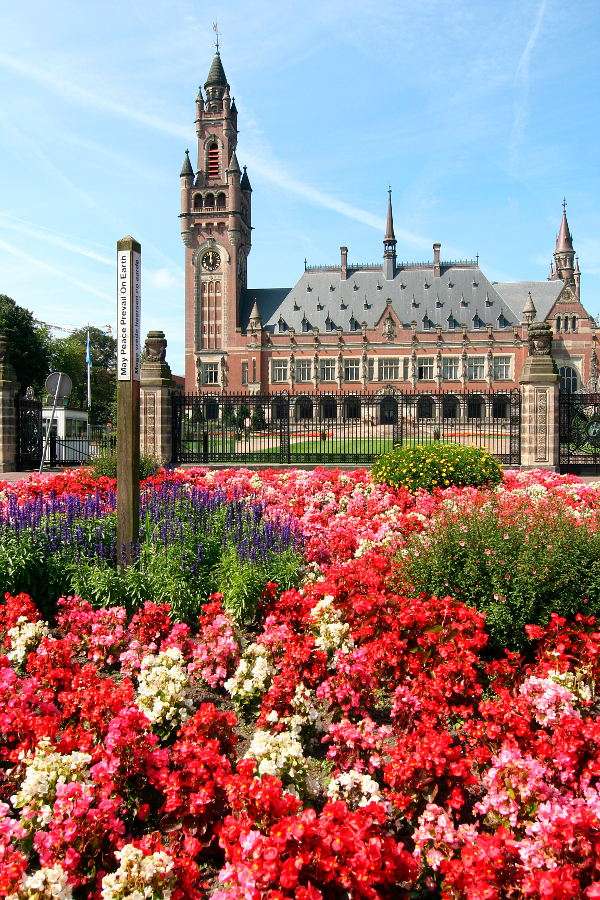 bykowski_t's tweet photo. @mfa_russia @RussiaUN Hague is really beautiful in spring... You will see for yourself 💋 https://t.co/Vv4n1z0Fvu