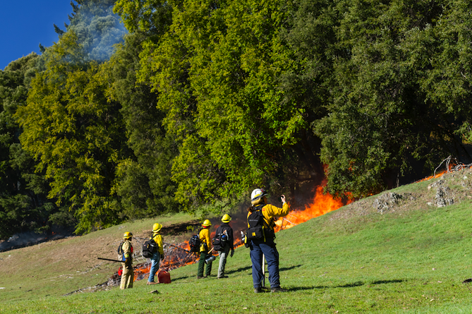 humboldtcalpoly's tweet photo. Fuels Management students were on the scene of a recent prescribed burn in nearby Honeydew, CA. This will help  with fire resilience, increase native plant biodiversity, and reduce fir encroachment. 

This is good fire. 🔥  

#CalPolyHumboldt
@savetheredwoods https://t.co/KZ1uf9S0aT