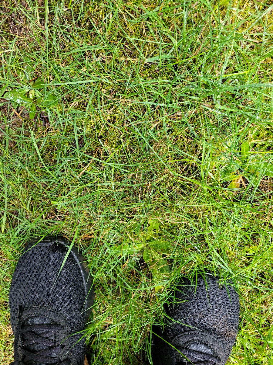 MsSonicFlare's tweet photo. Rain or shine! We πββοΈ πββοΈ πββοΈ thank goodness for my #K9 keeps me goin'! We were soakin' from the heavy rain from head to toe! #exercise #running #run #Sunday #healthylifestyle #healthy #sundayvibes #gsd #GermanShepherd #TheSegen https://t.co/eNU3AcUcKt