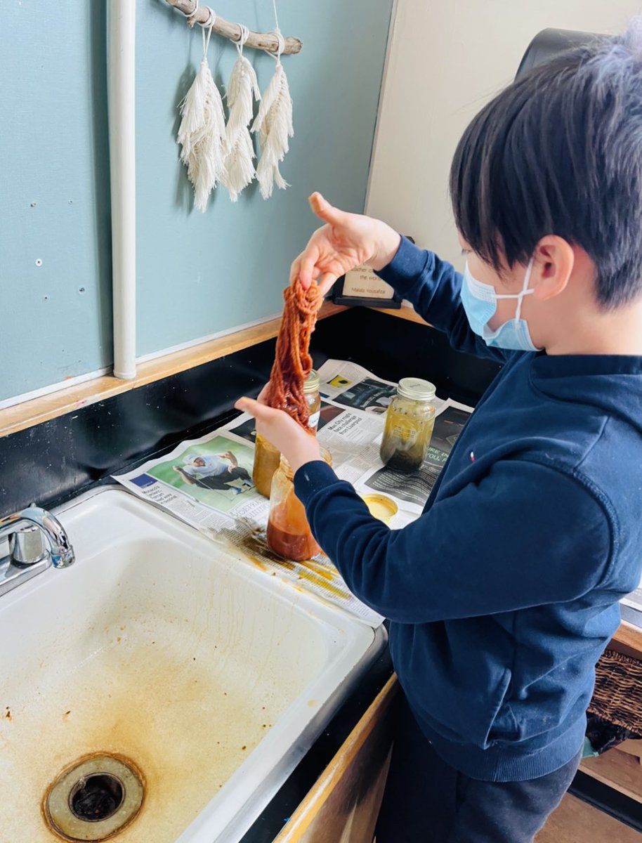 Grade 4/5’s have been busy dying wool with their own natural materials. They have turned out beautifully and we are ready to start weaving tomorrow! Thank you to Ewa Sniatycka, our artist in residence, who has been leading us in this amazing project!