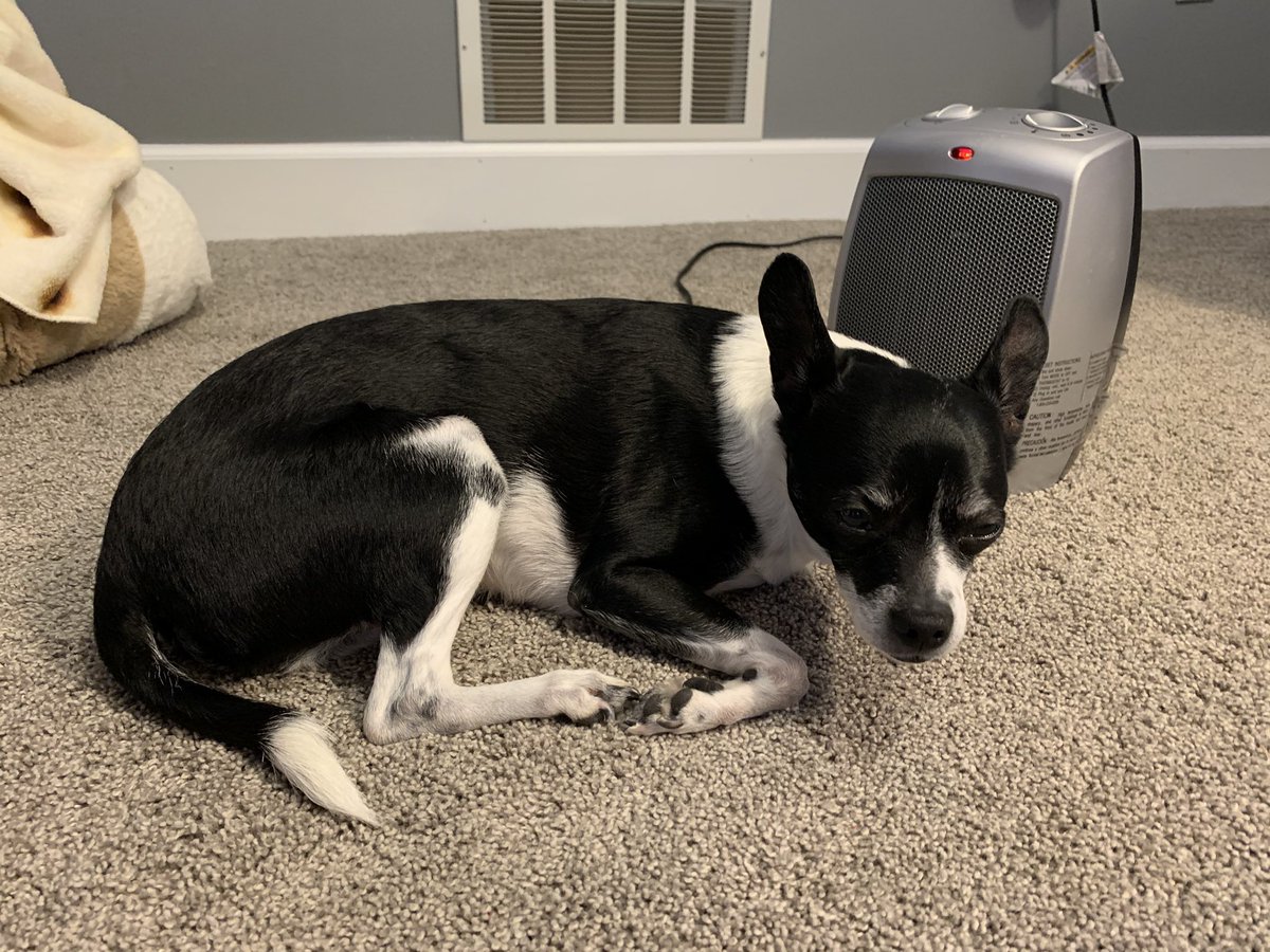 JessC_Walker's tweet photo. #2. My office heater. Another classic and go to. Only applicable during winter and fall seasons. Not great on the skin. https://t.co/tpl4pY7UVW