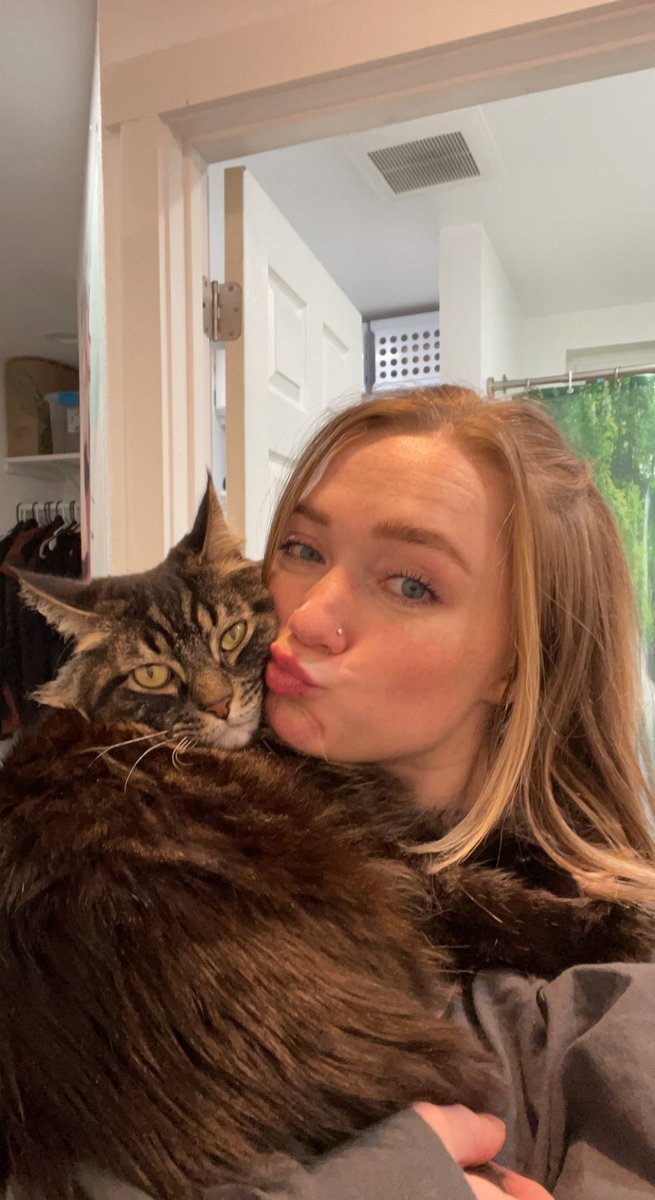 cierraleemae's tweet photo. My children 😽 (all of these are just from this week my entire camera roll looks like this) https://t.co/miPkxJuYEj