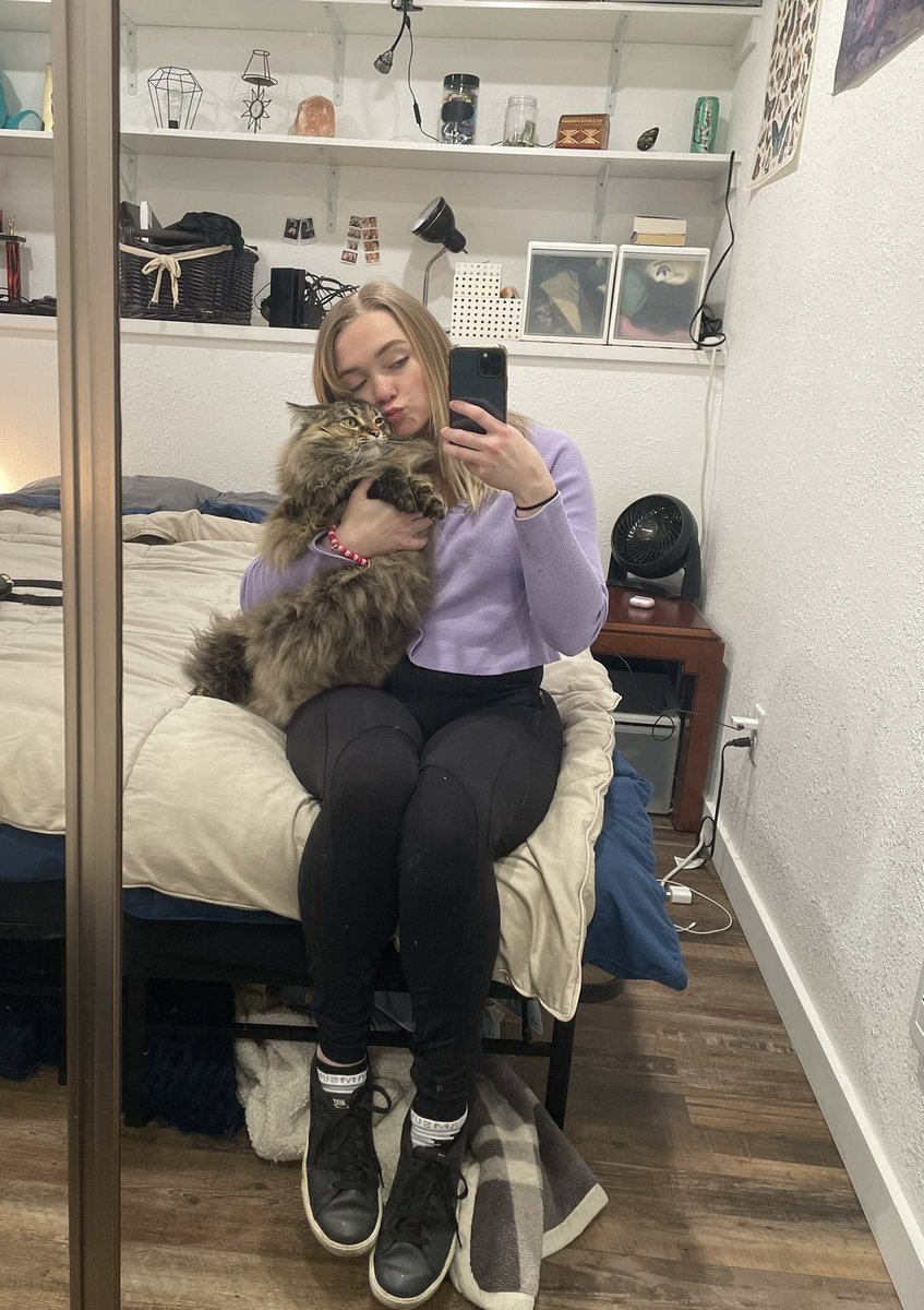 cierraleemae's tweet photo. My children 😽 (all of these are just from this week my entire camera roll looks like this) https://t.co/miPkxJuYEj