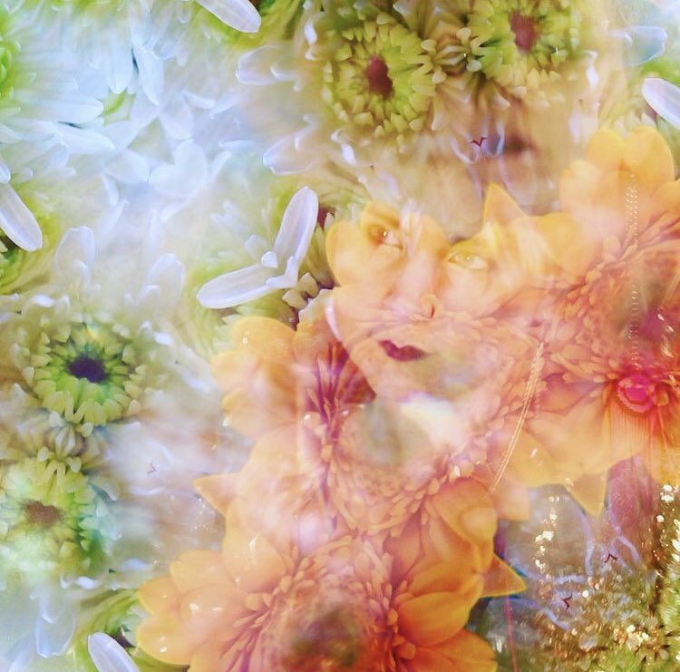 When winter wants to be spring ❄️🌿🌺🌼 #springforward