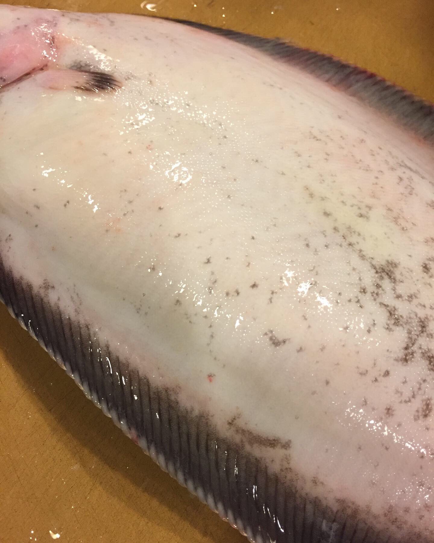 魚の旨い店 ほうぼう Sakana Houbou Twitter