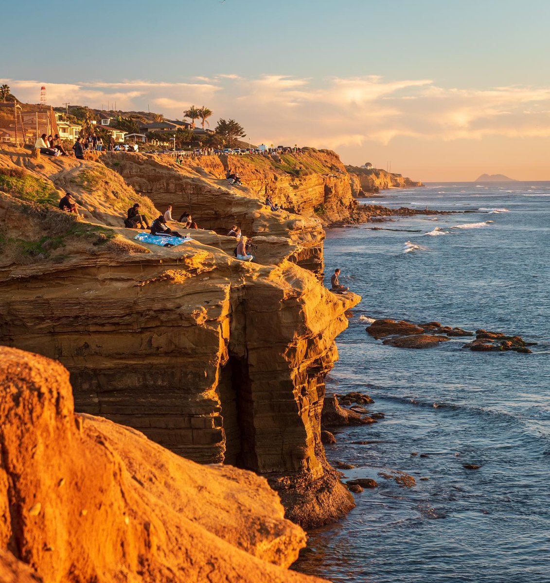 Studinovski Exotics (St_Exotics_) Twitter