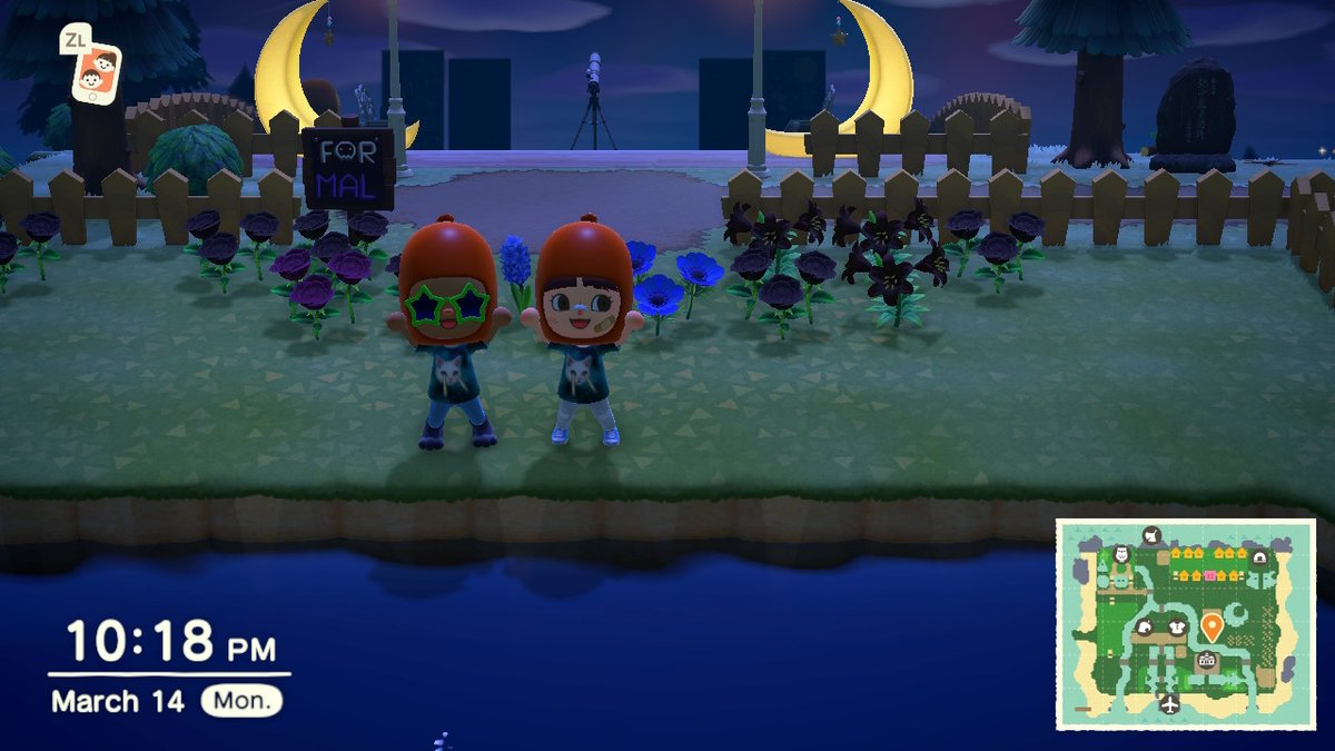 Nixx13_'s tweet photo. #AnimalCrossing #ACNH #NintendoSwitch https://t.co/efl8ZEsCis