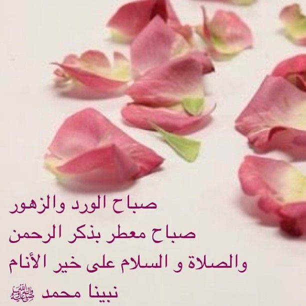 اللــــهم اكرمنا بمكارم 
الأخلاق وحسن الختام  
اللــــهم بارك لنا في يومنا هذا وارزقنا خيره وخير ما فيه على الوجه الذي يرضيك 
        *يارب العالمين*
     🌹صبـــاح الخــــير🌹