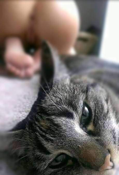 George Dailey tweet media