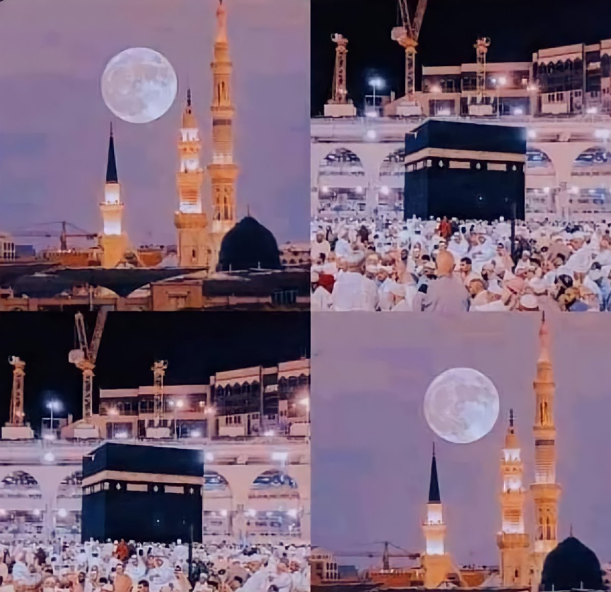 Aqib565's tweet photo. Don't scroll without love react ❤ https://t.co/l0P5Fkpfbx