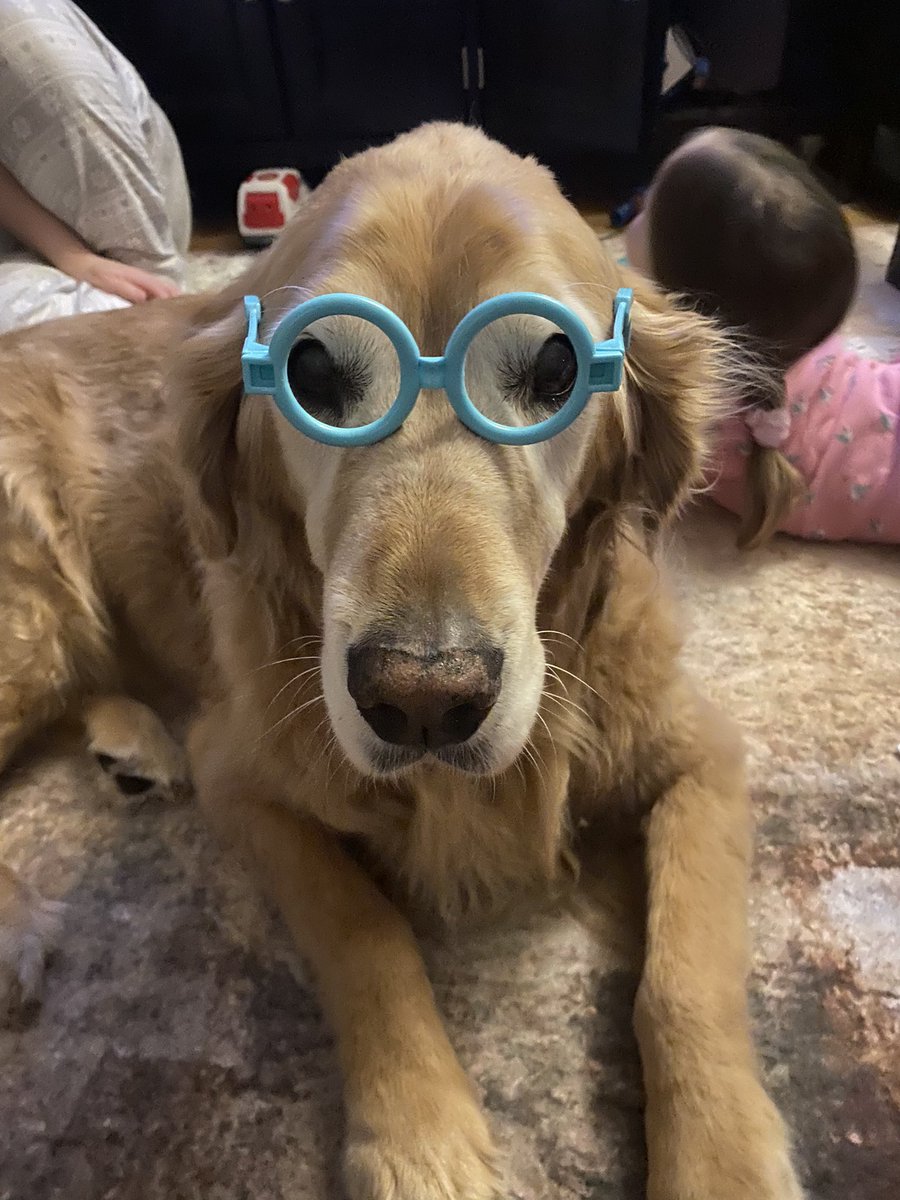 Jeff Jodoin tweet media