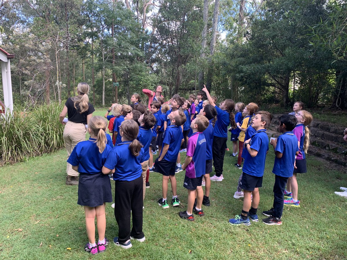 OakleighSS's tweet photo. The Year 3 Pullenvale Outdoor Education excursion is in full swing. Lovely for our students to be offsite in the beautiful surrounds of POEC, exploring opportunities to be environmental advisors. https://t.co/A4rJjHzc3U