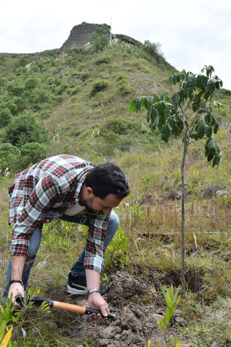 acastropiedra's tweet photo. Lindo fin de semana en #Llacao rodeados de gente buena, de las que uno aprende. Sembramos para recuperar el bosque nativo y recogimos la basura que malos ciudadanos arrojan en la quebrada. El mensaje, uno solo, proteger a nuestra madre naturaleza. 🍃💦🌿 https://t.co/R7Csj5vNZq