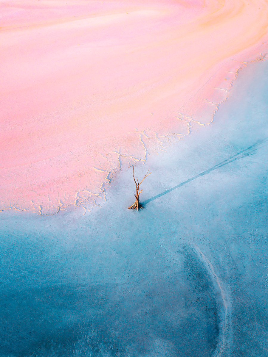 Lola Hubner tweet media