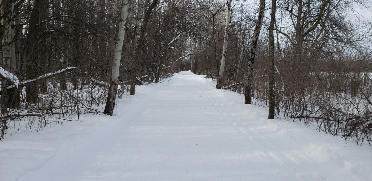 Ree_D_Evidence's tweet photo. The landscape while #xcountryskiing @KanataNordic. It was much quieter than usual as it is the start of March Break for most students. We didn't mind having the trails all to ourselves. https://t.co/rnMrgROcGV