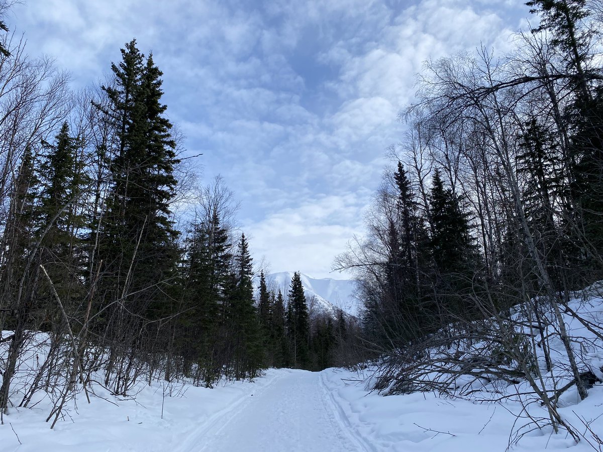 pabwhoa's tweet photo. Alaska hike https://t.co/liz0UsMrJB