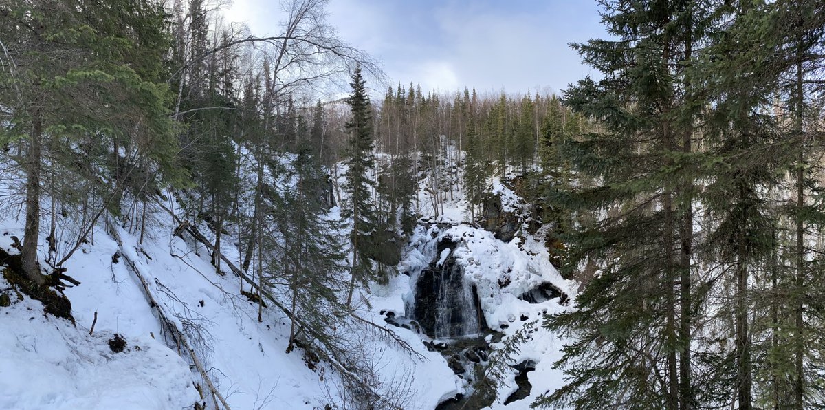 pabwhoa's tweet photo. Alaska hike https://t.co/liz0UsMrJB