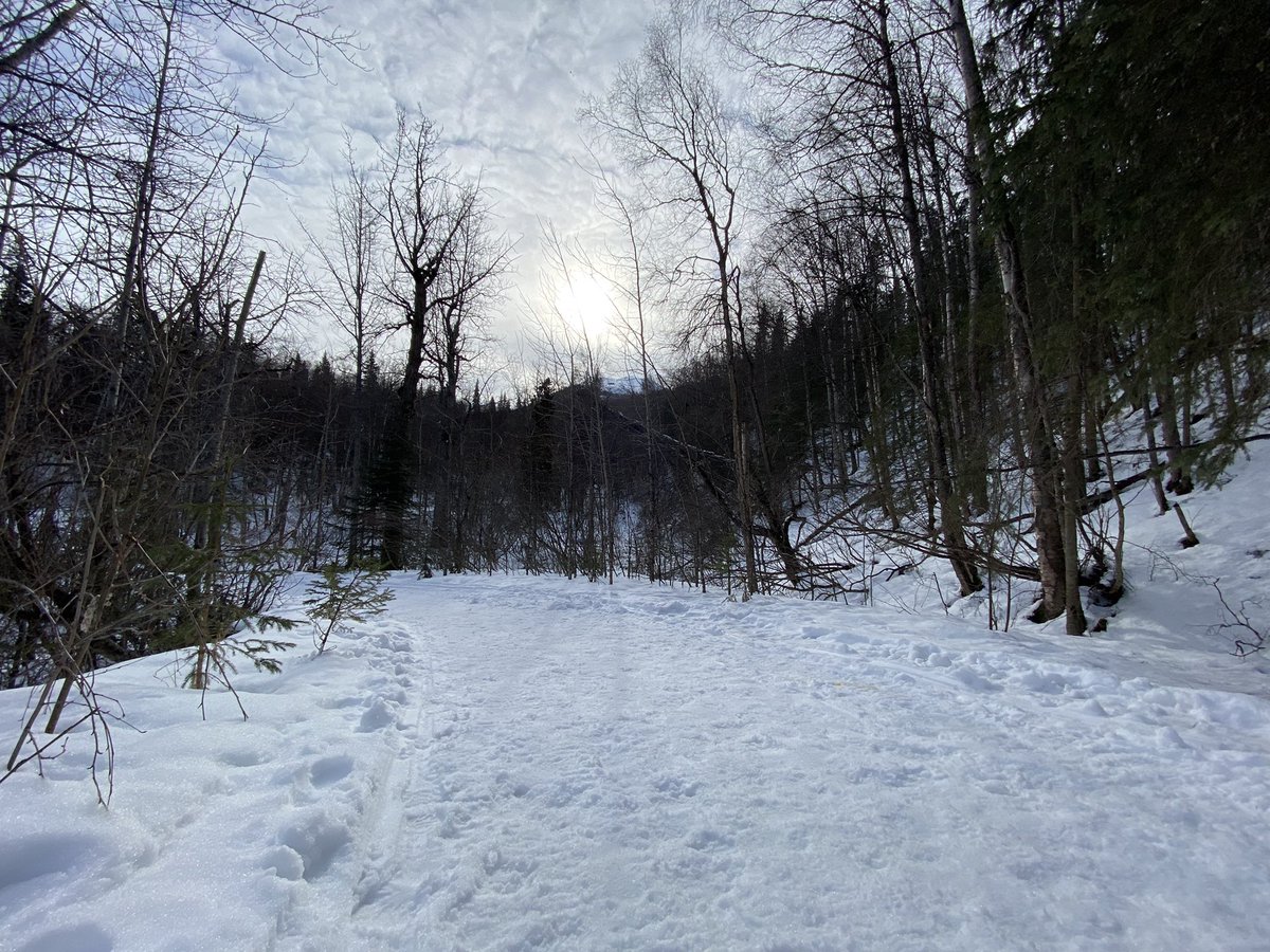 pabwhoa's tweet photo. Alaska hike https://t.co/liz0UsMrJB