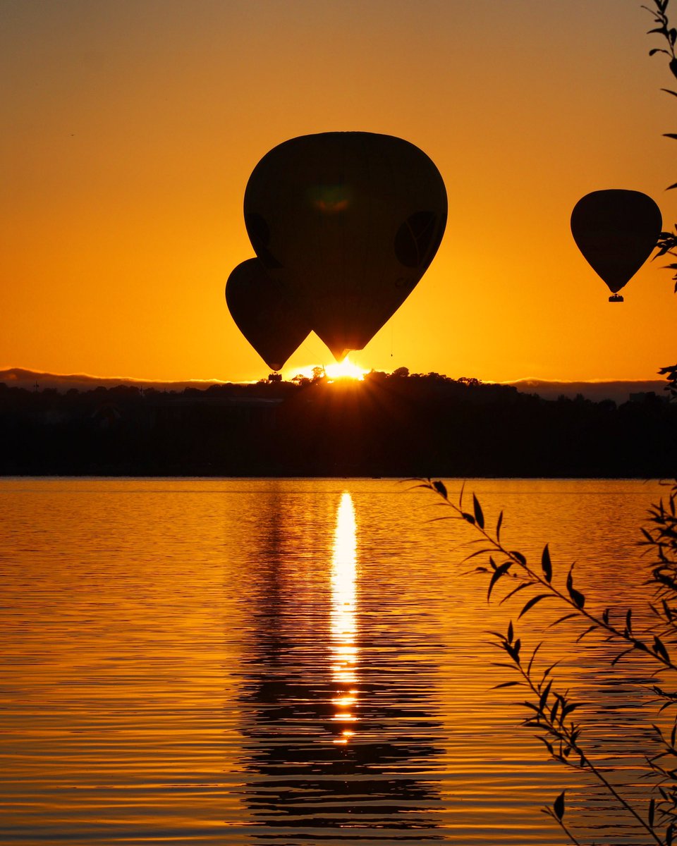 Happy Canberra Day #Canberraballoonspectacular #canberra #hotairballoon #sunrise #Australia