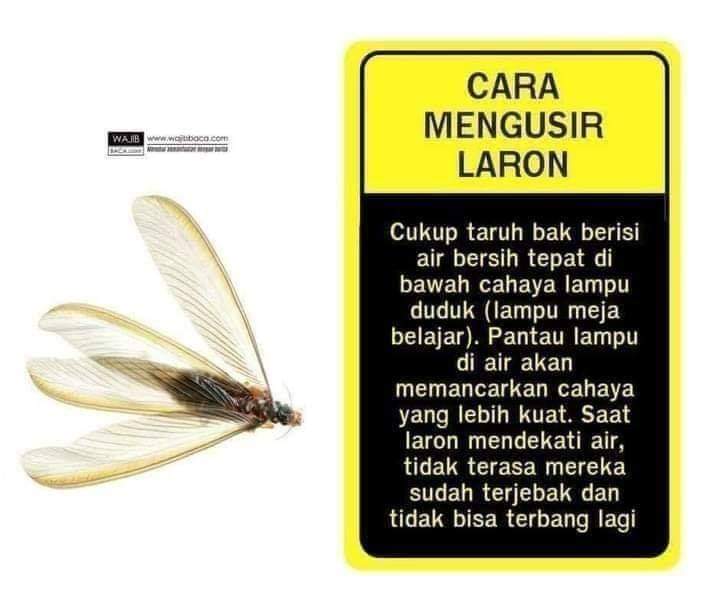 JanissaryD_Last's tweet photo. 1001 Cara https://t.co/PlMFdBHxNO