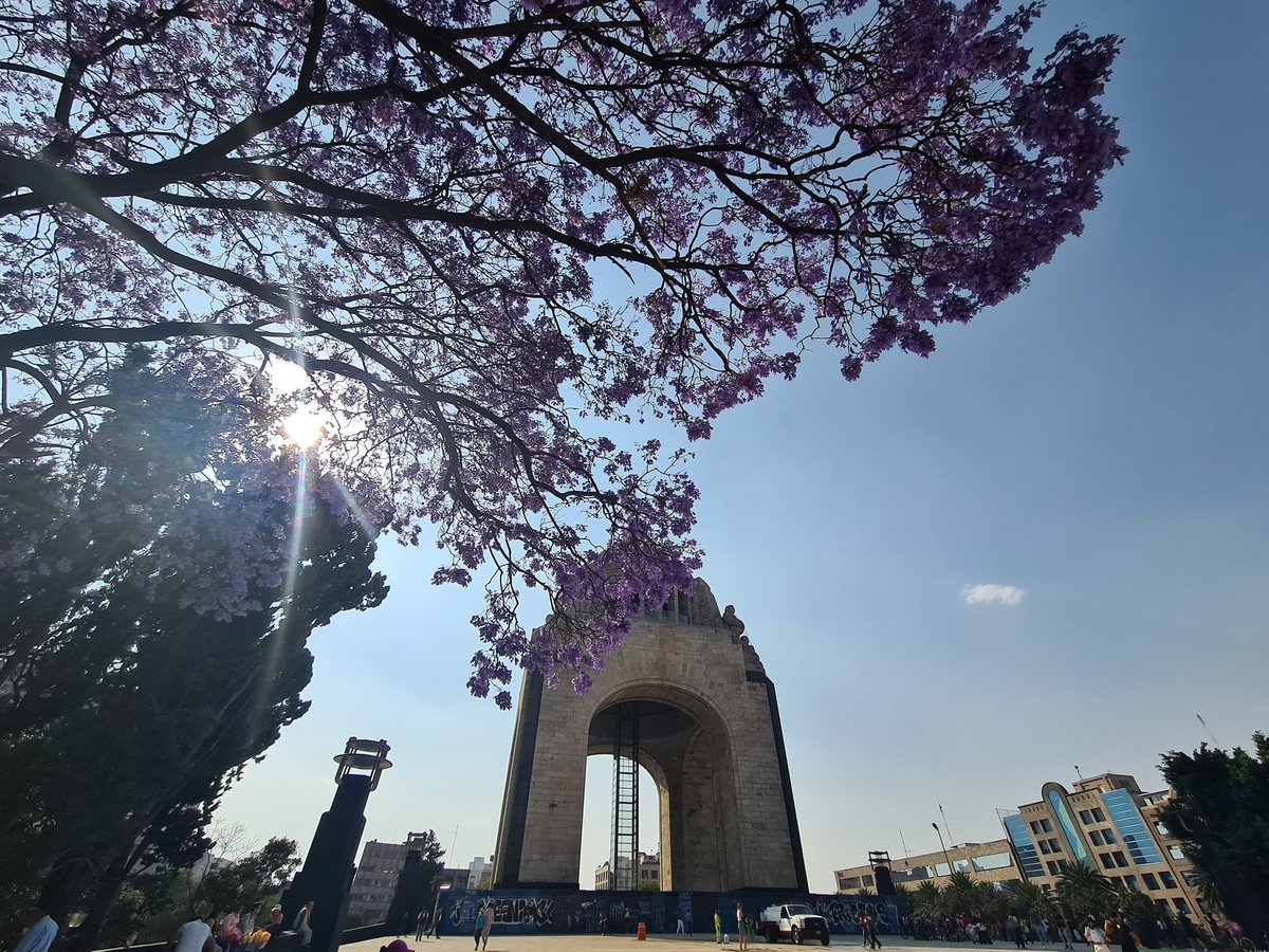 eduard_lg's tweet photo. Mi ciudad favorita del mundo #CDMX #ILoveDF https://t.co/xsqOLsOFUG
