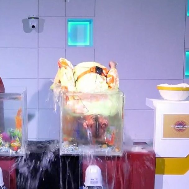 "Preferes ouvir a Sara Aleixo ou afogar-te?
Me:
#bbtvi