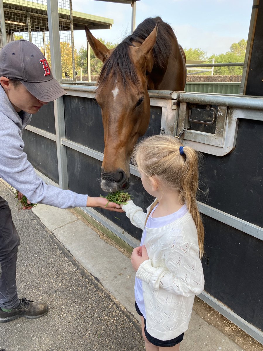 BillAidonis's tweet photo. Doing the rounds this morning for the first time in 2 years. Huge shout out to @saabhasan racing and Dom Sutton @MaluaRacing for being so welcoming. Ava had lots of fun, I think The Astrologist was her favourite! #triumphantly #zourata #theastrologist https://t.co/hmSZtF9Ix1